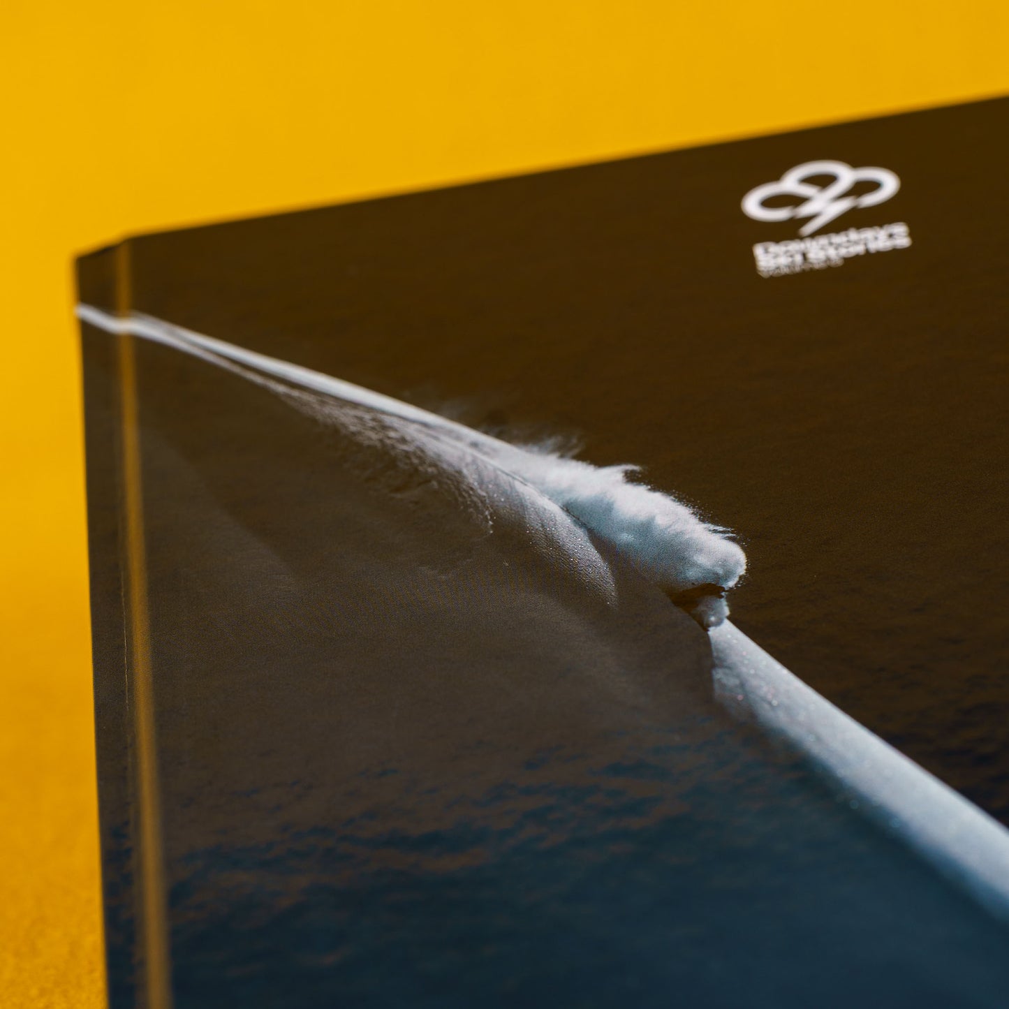 Ski Stories, Volume 6