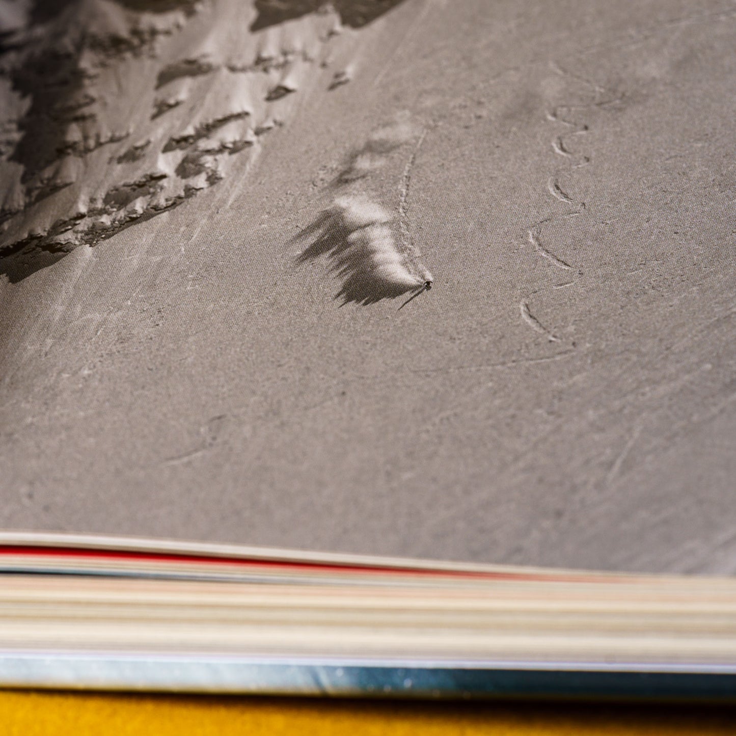 Ski Stories, Volume 6