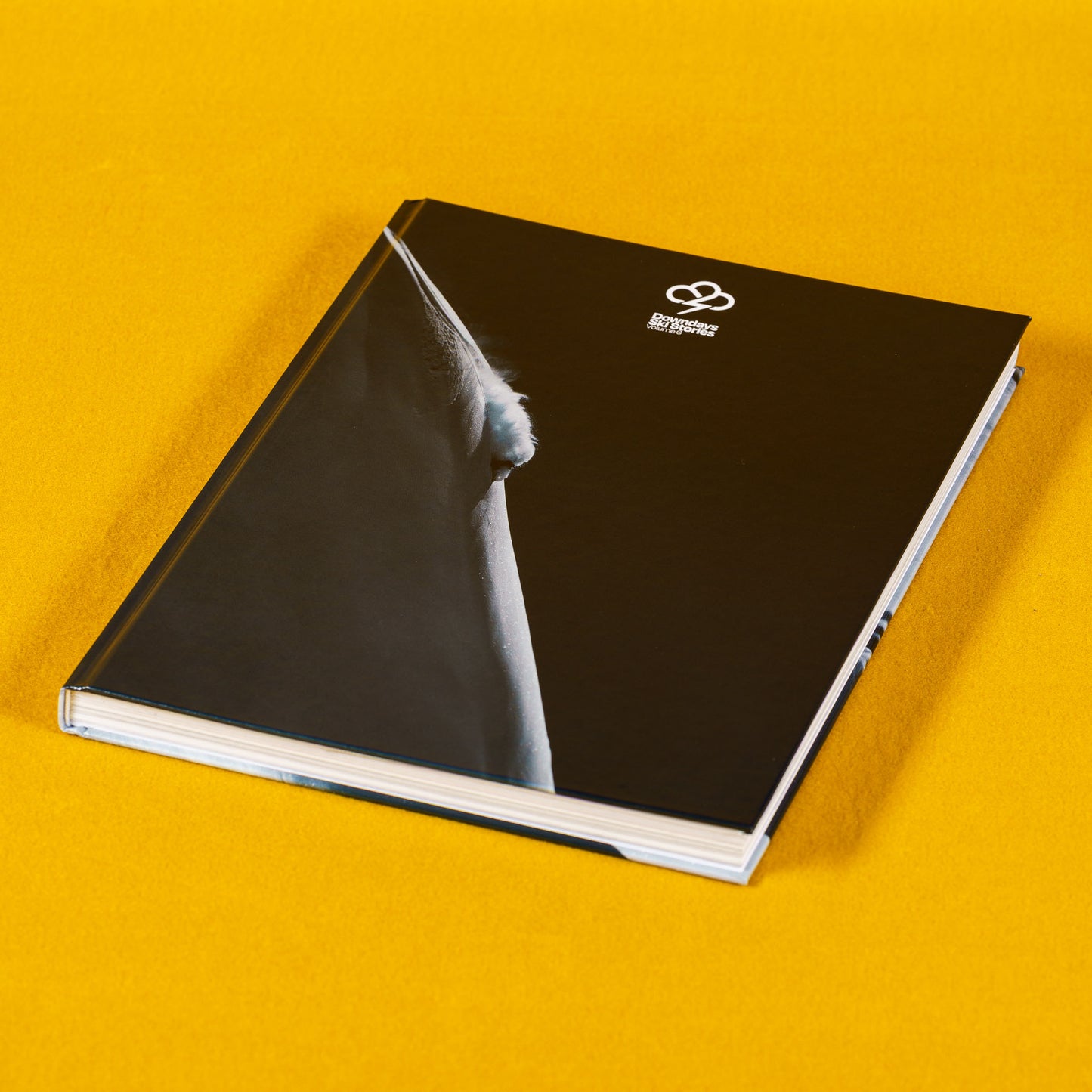 Ski Stories, Volume 6