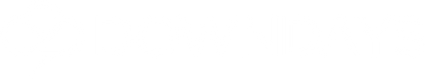Downdays Webshop